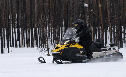 Snowmobile "Bombardier": технически характеристики, цена и рецензии. Snowmobile "Bombardier 600"