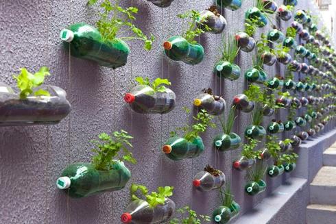 декорации за градина от пластмасови бутилки