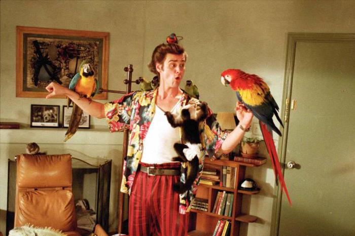 Ace Ventura за търсене на домашни любимци