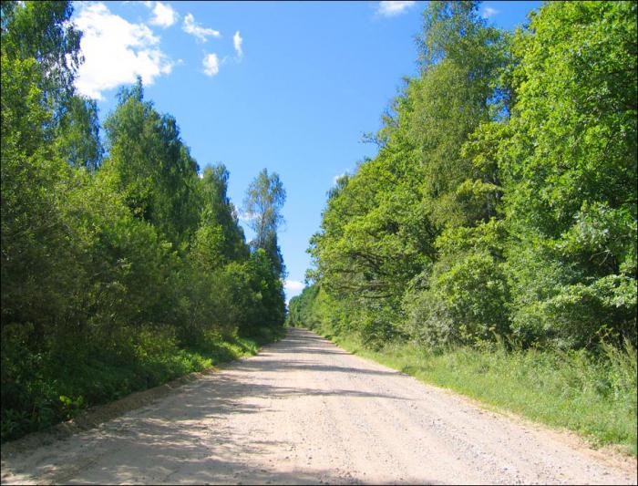 гъби в района на Тула