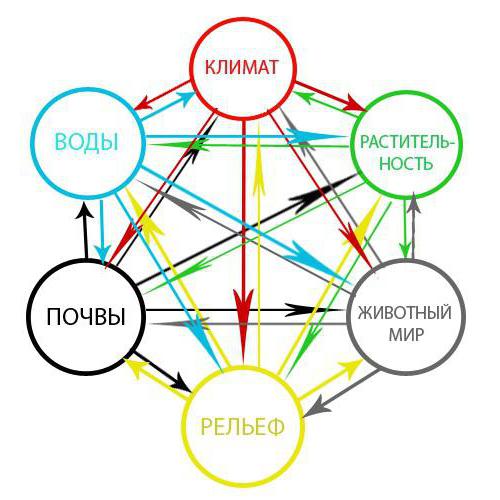 Какви са естествените комплекси? Техните видове и особености