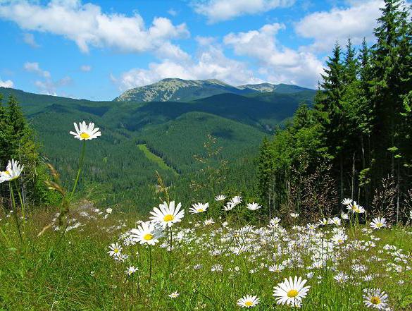 Украински имена на месеците на годината