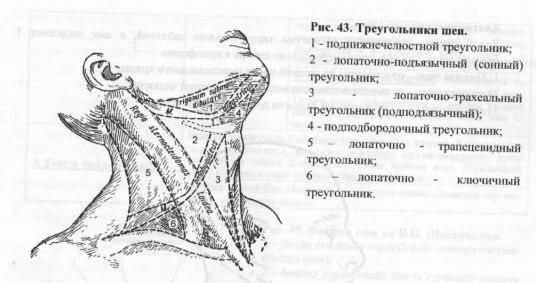 триъгълници на шията