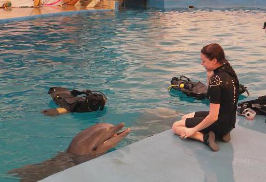 anapa делфинариум nemo прегледи