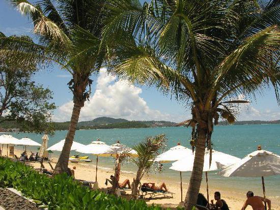 ibis samui bophut 3 тайланд 